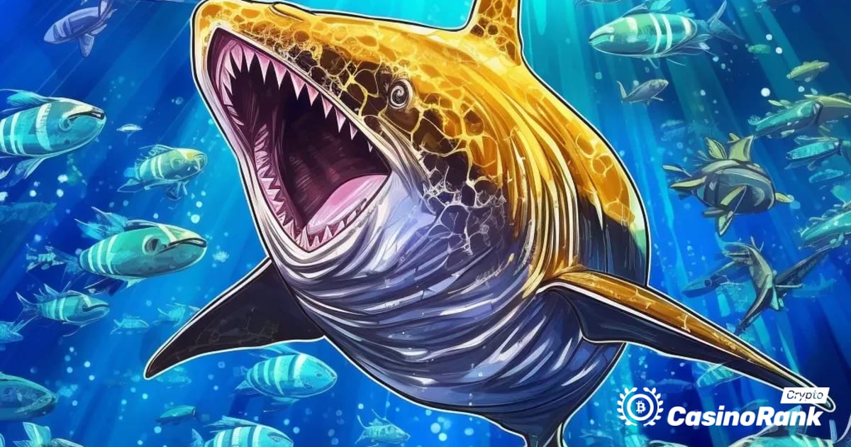 Η άγνωστη «έξυπνη φάλαινα» κερδίζει εκατομμύρια διαπραγματεύσεις με Bitcoin και ανακαλύπτει το αδρανές πορτοφόλι ICO Ethereum